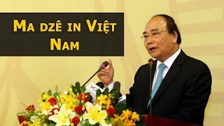 Image result for Phúc Niểng