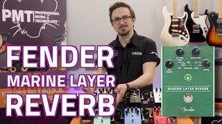 Fender Marine Layer Reverb - відео 3