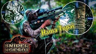 Download lagu BERBURU HAMA TUPAI DI KEBUN TETANGGA..  mp3