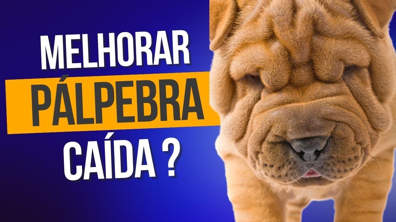 Walter Refkalefsky Loureiro-7