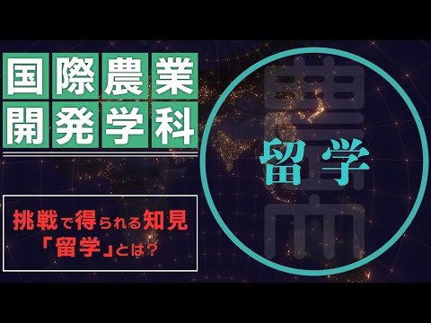 【国際農業開発学科】留学　～挑戦で得られる知見「留学」とは？～【東京農業大学】