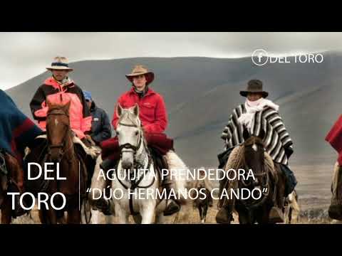 AGUJITA PRENDEDORA | "DÚO HERMANOS CANDO"