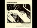 Roy Montgomery -  Ill At Home