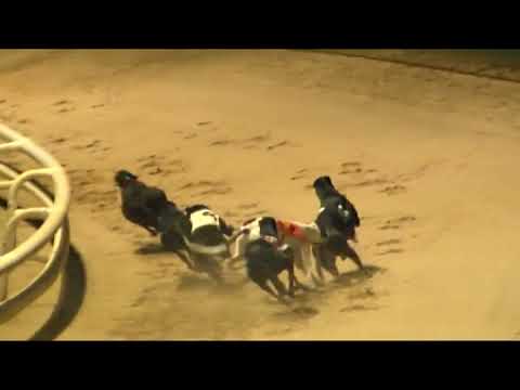 2022 ARC Northern Puppy Derby