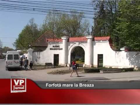 Forfotă mare la Breaza