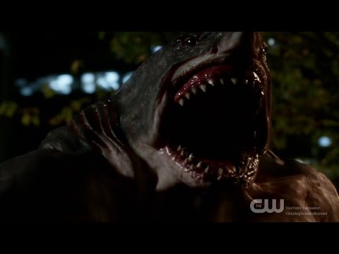 The Flash 2x04: King Shark appears and Harrison Wells returns