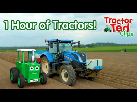 1 Hour of Big Machines For Kids Who LOVE Tractors! 🚜 Tractor Ted Official