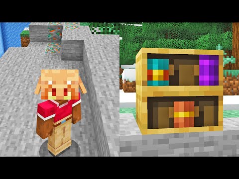 NEW Head Mob and Chiseled Bookshelf CHANGES in Minecraft 1.20 Snapshot 22W46A