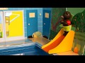 Petit Ours Brun à la piscine - Le stop-motion