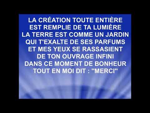 TOUT EN MOI DIT MERCI - Cris de Joie