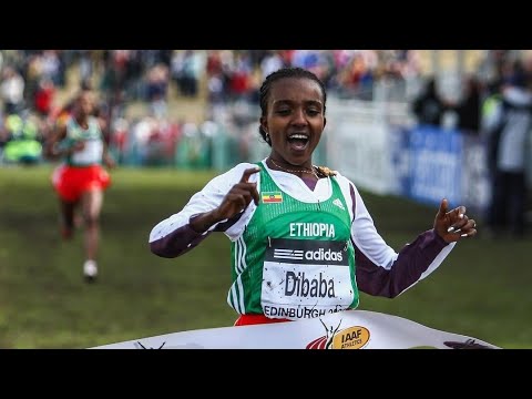 Tirunesh Dibaba's Cross Country Domination (4 Times World Cross Country Champion)
