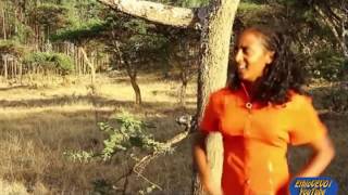 ንብረት ዋለልኝ - የጠይም አይናማ