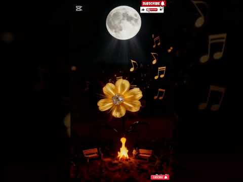 #aguaray #musica #salta