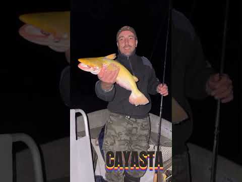 "¡Increíble! Las Capturas Más Sorprendentes en Cayastá, Santa Fe 😱🔥"