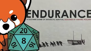 Endurance | Review