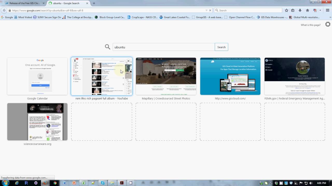 mapserver   roll your own WEBGIS