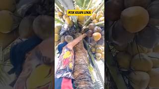 Download lagu Cara Tradisional petik kelapa lokal #petani #buah #viralvideo #viralshort mp3 Download lagu Cara Tradisional petik kelapa lokal #petani #buah #viralvideo #viralshort mp3