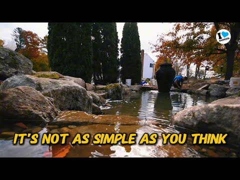 This is what they DON'T tell you about building a pond...