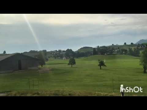 Lost in the beauty of Swiss nature🌲 #swissalps #swissbeauty #swisstravel #switzerlandstreets