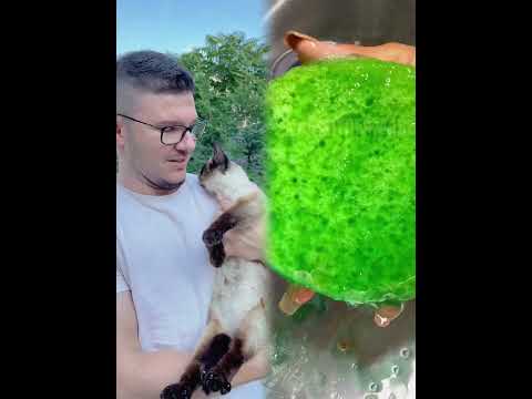 Fii om…nu animal! #funny #skit #fyp #foryou #shorts #viral #humor #amuzant #romania