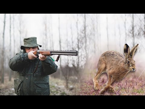 Hunting Serbia - Hare hunting in Vojvodina | Lov zeca Čenta - Vojvodina | Caccia al coniglio