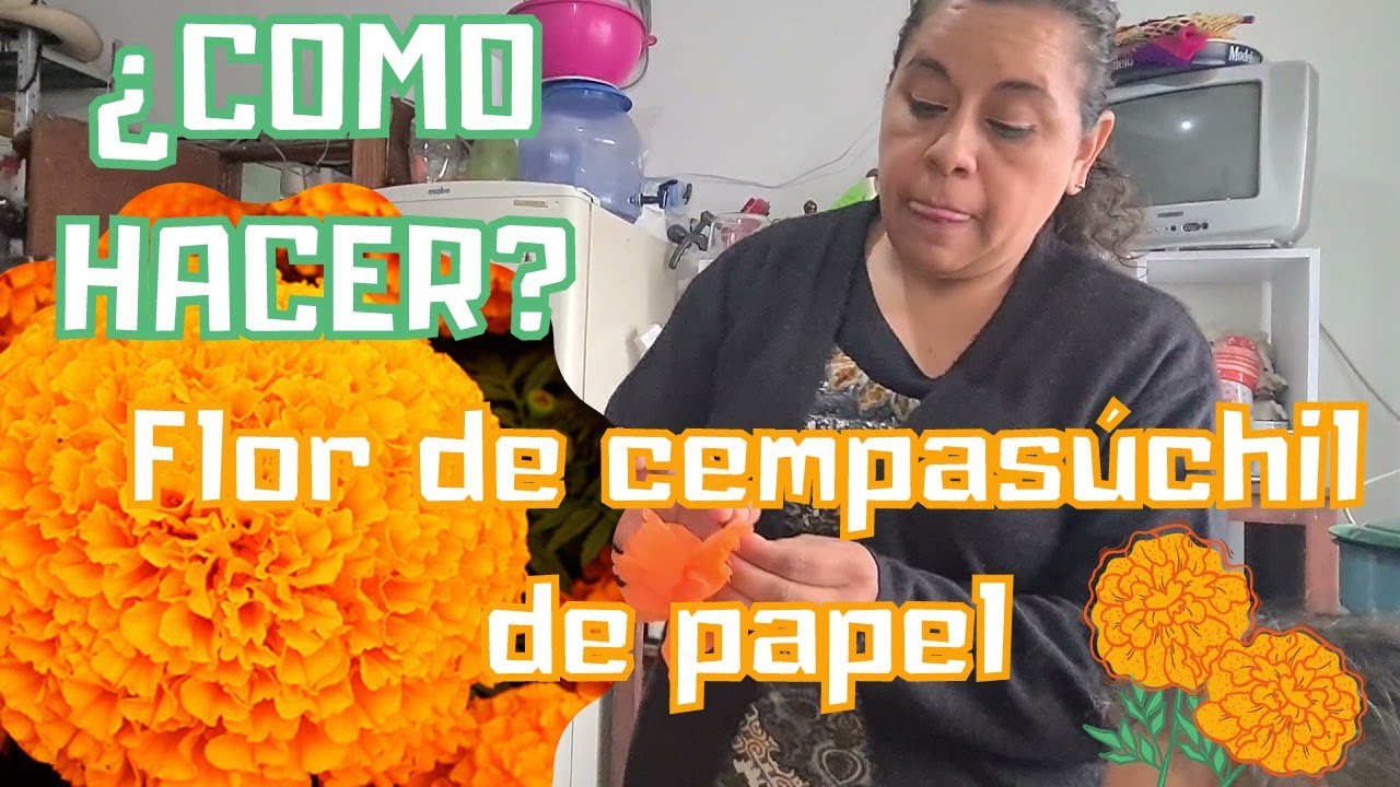Watch COMO HACER FLOR DE CEMPASUCHIL FACIL Y RAPIDO, PREPARANDO ARREGLOS PARA LA OFRENDA DE MEMO Y TANIA🕊💕 Now COMO HACER FLOR DE CEMPASUCHIL FACIL Y RAPIDO, PREPARANDO ARREGLOS PARA LA OFRENDA DE MEMO Y TANIA🕊💕