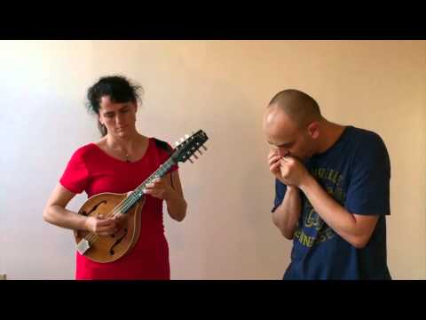 Saint Anne's Reel - Bluegrass Harmonica - Powerbender harmonica