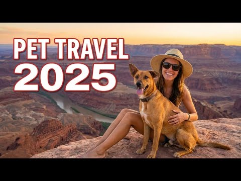 Pet-Friendly Vacations USA 2025 | Beaches, Cities & Nature Getaways | Lazy Dog Travels