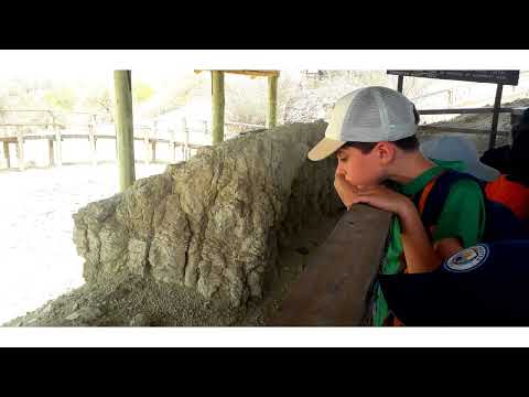 Sortie CM1 Olorgesaillie