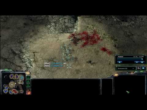 Starcraft 2 Beta - marine rush FAIL