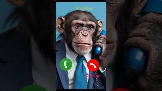 Download lagu Monkey calling #shorts #iphone mp3