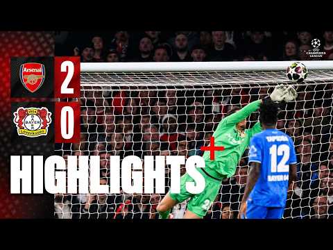 bg-highlight