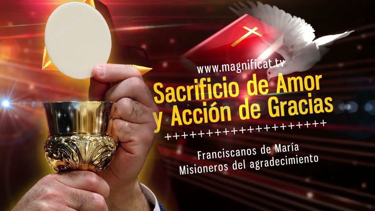 La Santa Misa de Hoy| Viernes, XXIX semana del Tiempo Ordinario |25-10-2024 | P. Santiago Martín, FM