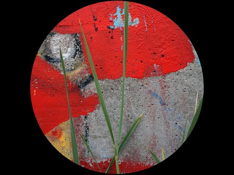 Solipsism -- Static Evolution