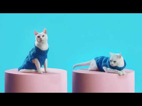 download lagu mp3 mp4 Wish Commercial Song, download lagu Wish Commercial Song gratis, unduh video klip Wish Commercial Song