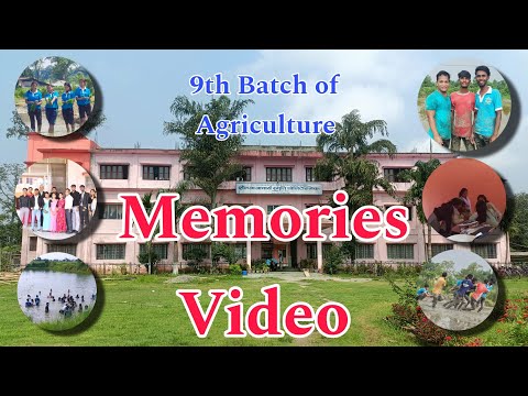 Video 3