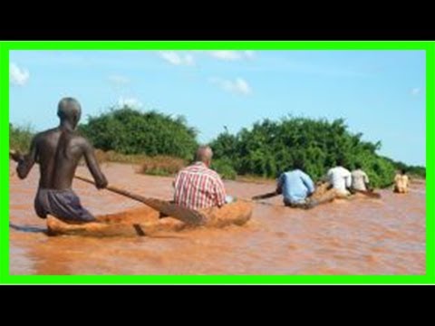 Mein ausland: für immer afrika