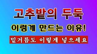 [텃밭농부 2,175]  고추밭 두둑을 이렇게 만드는 이유. 밑거름도 많이 넣으세요! #고추재배