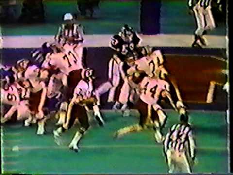 7- Joe Theismann 1yd pass to Otis Wonsley