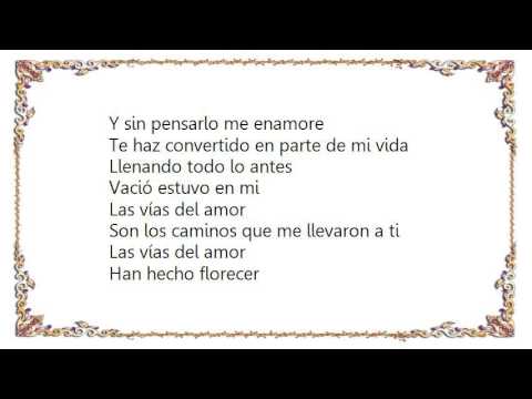 Las Vias Del Amor cover