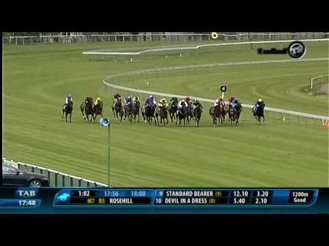 telegraphhandicap2013