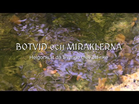 Botvid och miraklerna