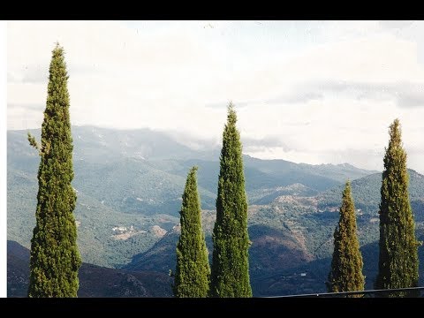 Marc-Antoine Charpentier - Motet pour les trépassés
