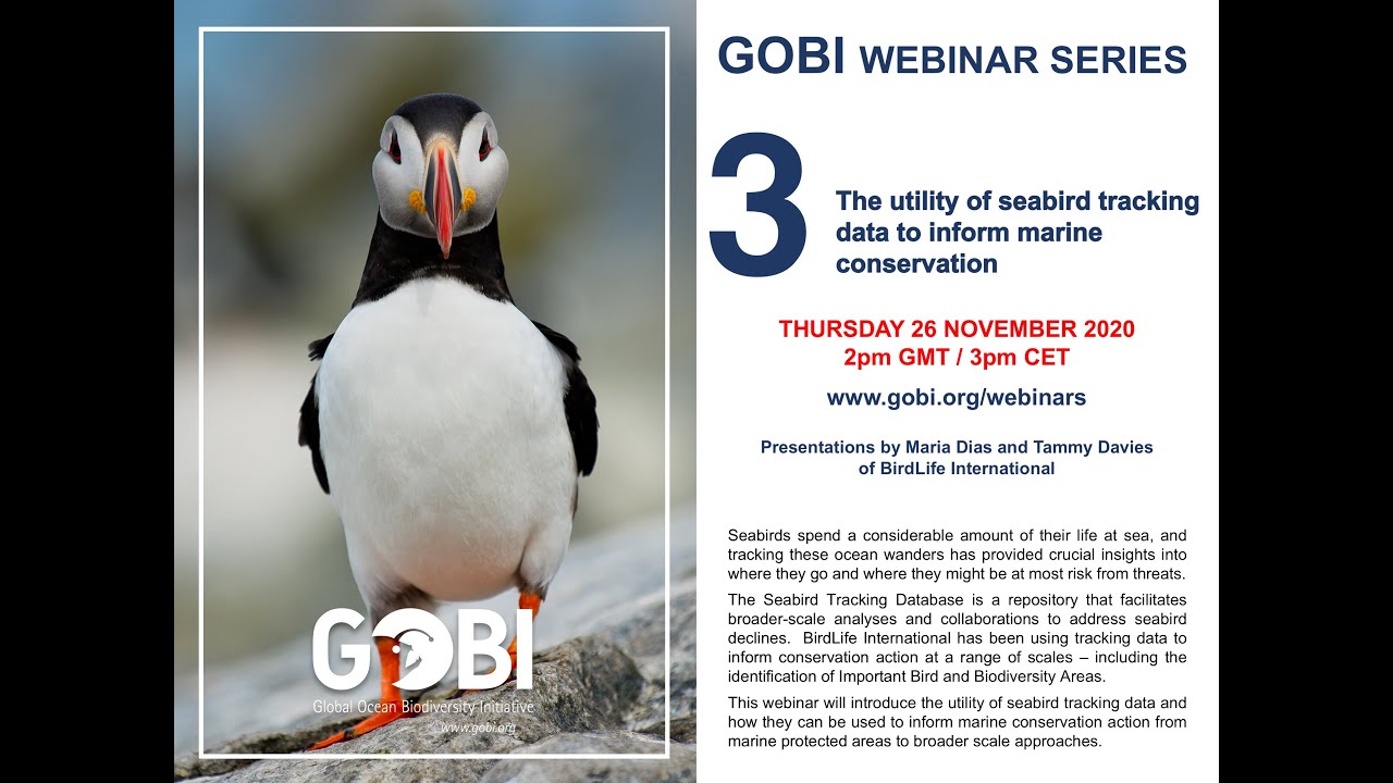 The utility of seabird tracking data to inform marine conservation