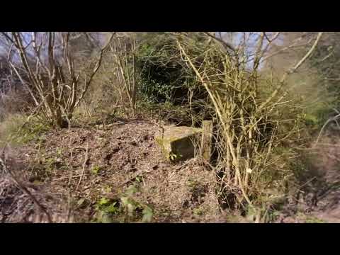 NATURAL| MADMANTRA | PSYTRANCE | DARKPSY|HITECHMIX| PSYRECORD