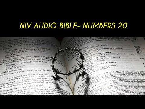 NUMBERS 20 NIV AUDIO BIBLE (with text)