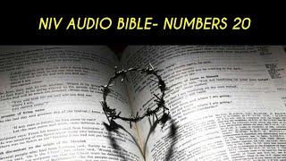 NUMBERS 20 NIV AUDIO BIBLE (with text)