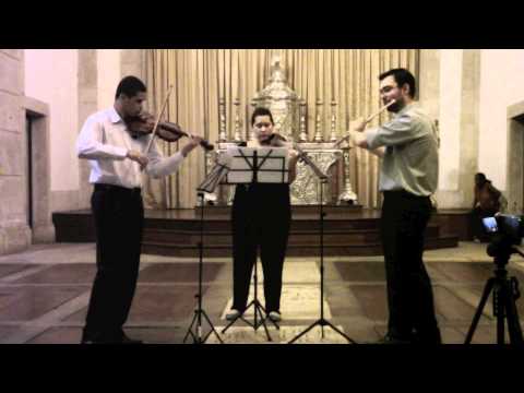 Ludwig van Beethoven - Serenata em ré maior para flauta, violino e viola op. 25 - Parte 2