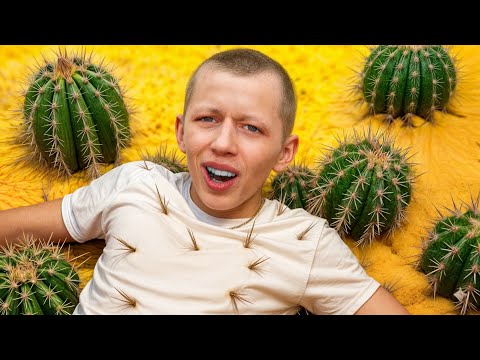 WHO OF US IS THE STUPIDEST?