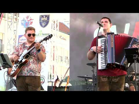 SWAB - Dunamenti Halfesztivál Mohács 2025 - LIVE